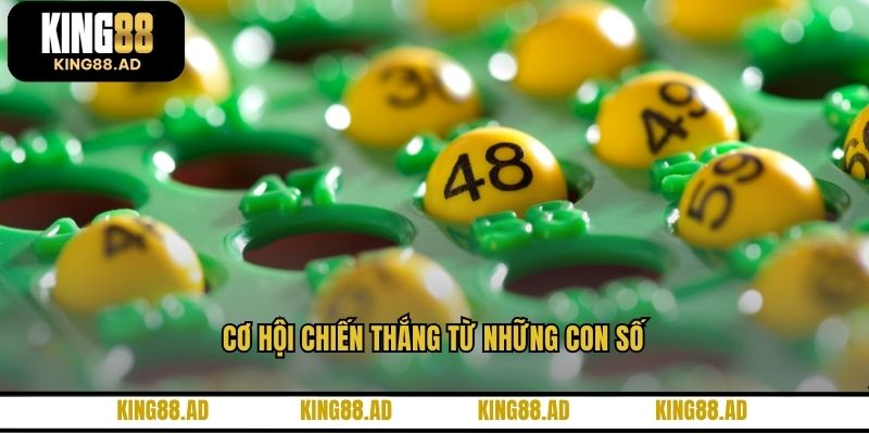 Cơ hội chiến thắng từ những con số
