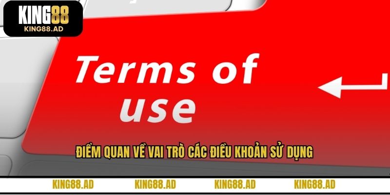 Điểm quan về vai trò các điều khoản sử dụng Điểm quan về vai trò các điều khoản sử dụng