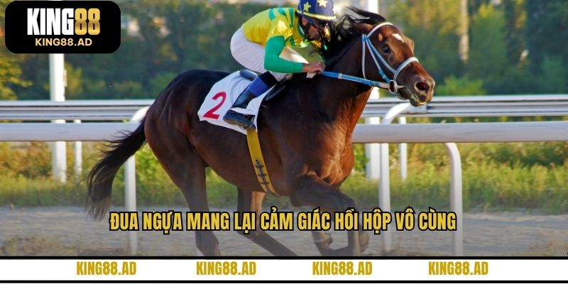 Đua ngựa mang lại cảm giác hồi hộp vô cùng Đua ngựa mang lại cảm giác hồi hộp vô cùng