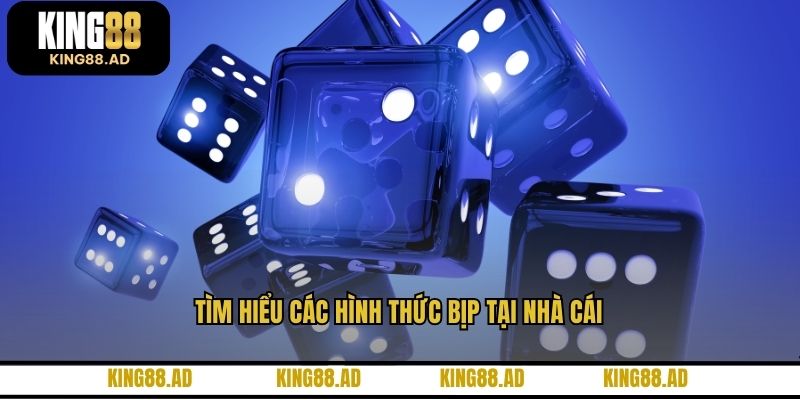 Tìm hiểu các hình thức bịp tại nhà cái